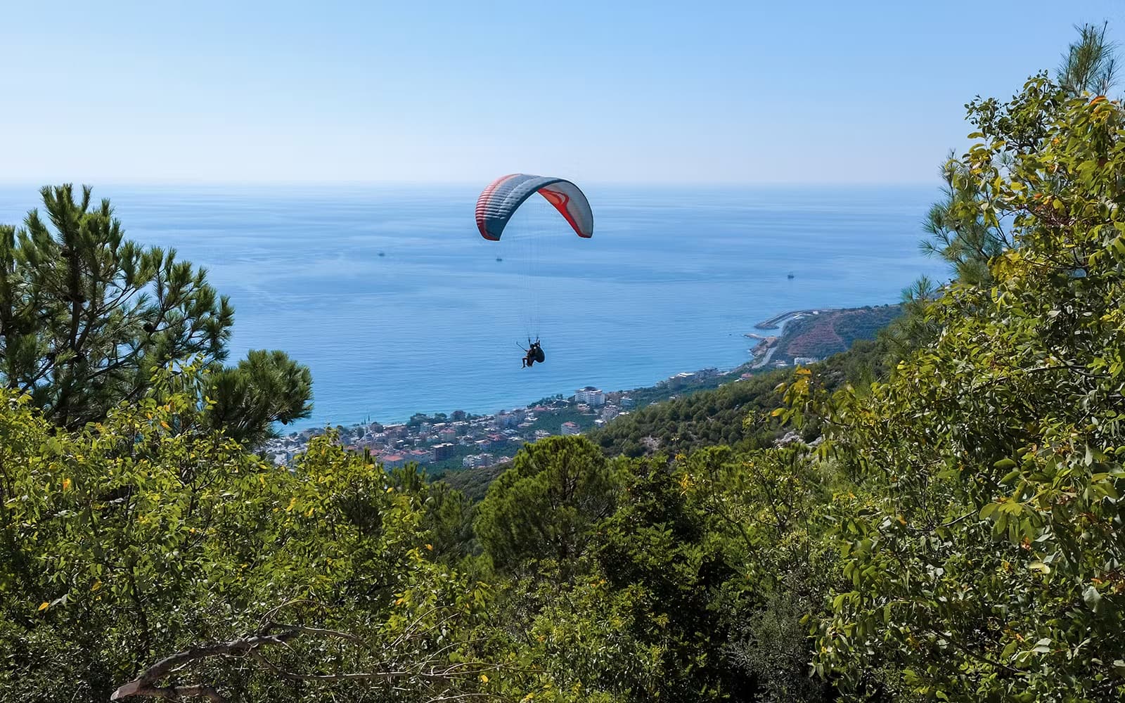 Paraglider over the pine-covered Alanya coastline